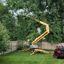 Maynardville, TN Tree Removal Company